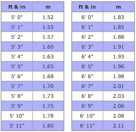 1.70 m in ft|1.70 in feet.